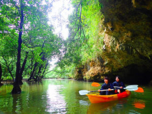 宮良川の洞窟周辺のカヤック体験