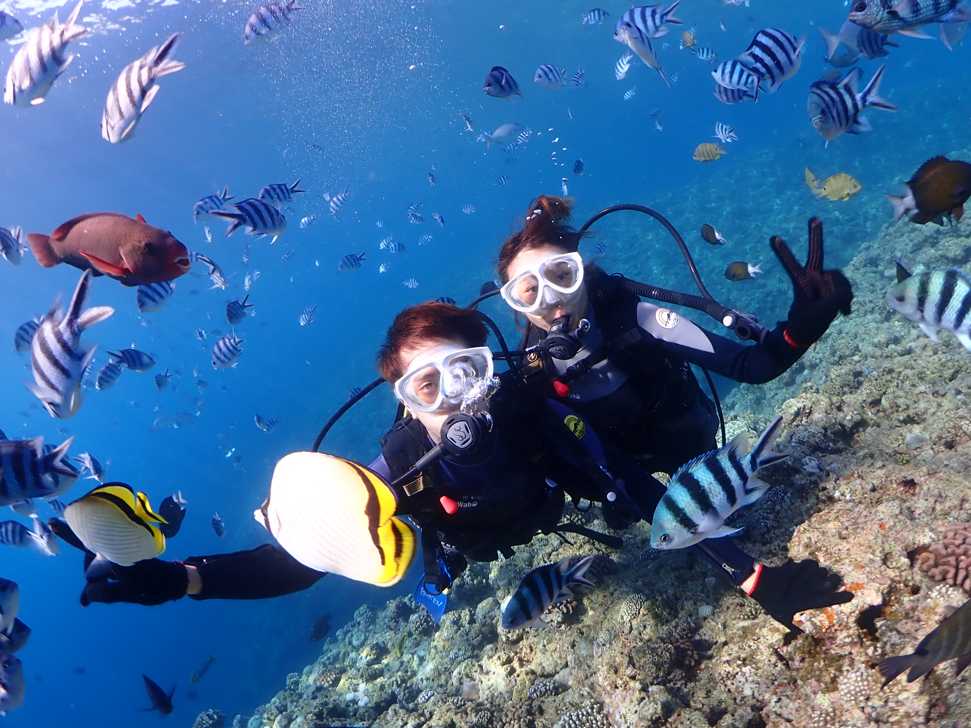 【沖縄・青の洞窟】青々と輝く神秘の世界！体験ダイビング（ok019） 沖縄トリップ 現地ガイド厳選アクティビティ・ツアー予約はこちら