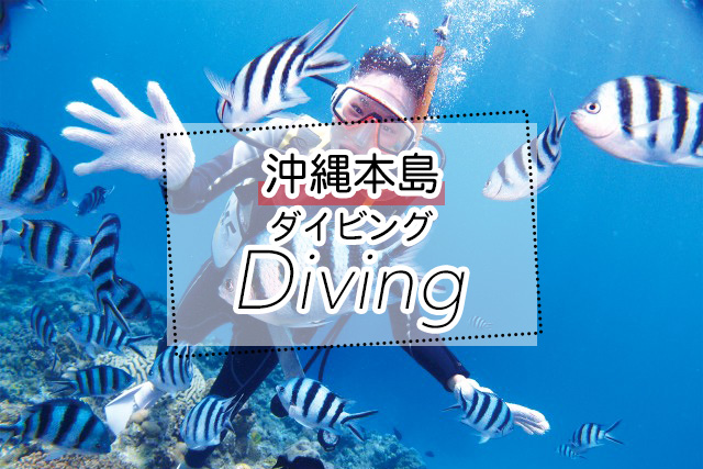 沖縄の体験ダイビングツアー