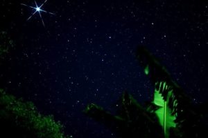 石垣島の満天の星空を鑑賞