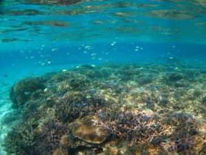 石垣島の幻の島周辺の海