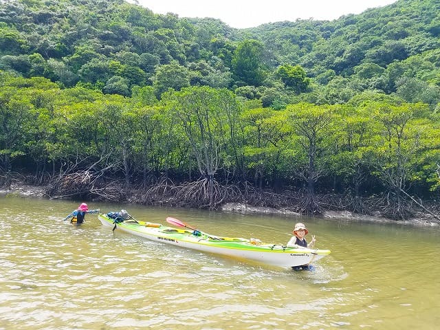 マングローブ川で歩く参加者