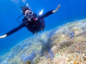 透明度抜群の西表島の海でダイビング