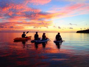 夏休みに家族みんなで名蔵湾クルーズ