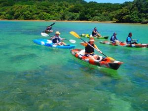 観光名所川平湾でのシーカヤック体験