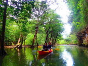 宮良川でマングローブカヌーを楽しむ人