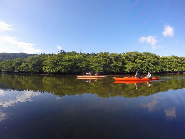 西表島のピナイサーラの滝へ向かうカヌー