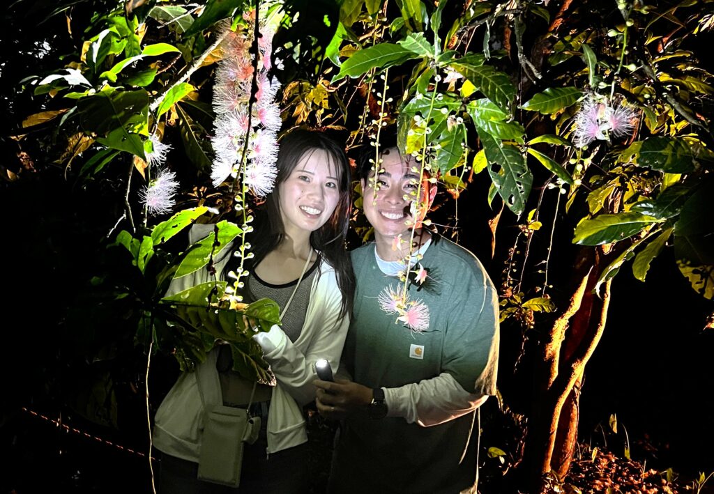 【5・6・7月限定】夜に咲く！幻の花サガリバナ鑑賞ツアー