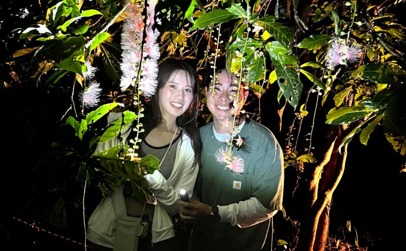 【5・6・7月限定】夜に咲く！幻の花サガリバナ鑑賞ツアー