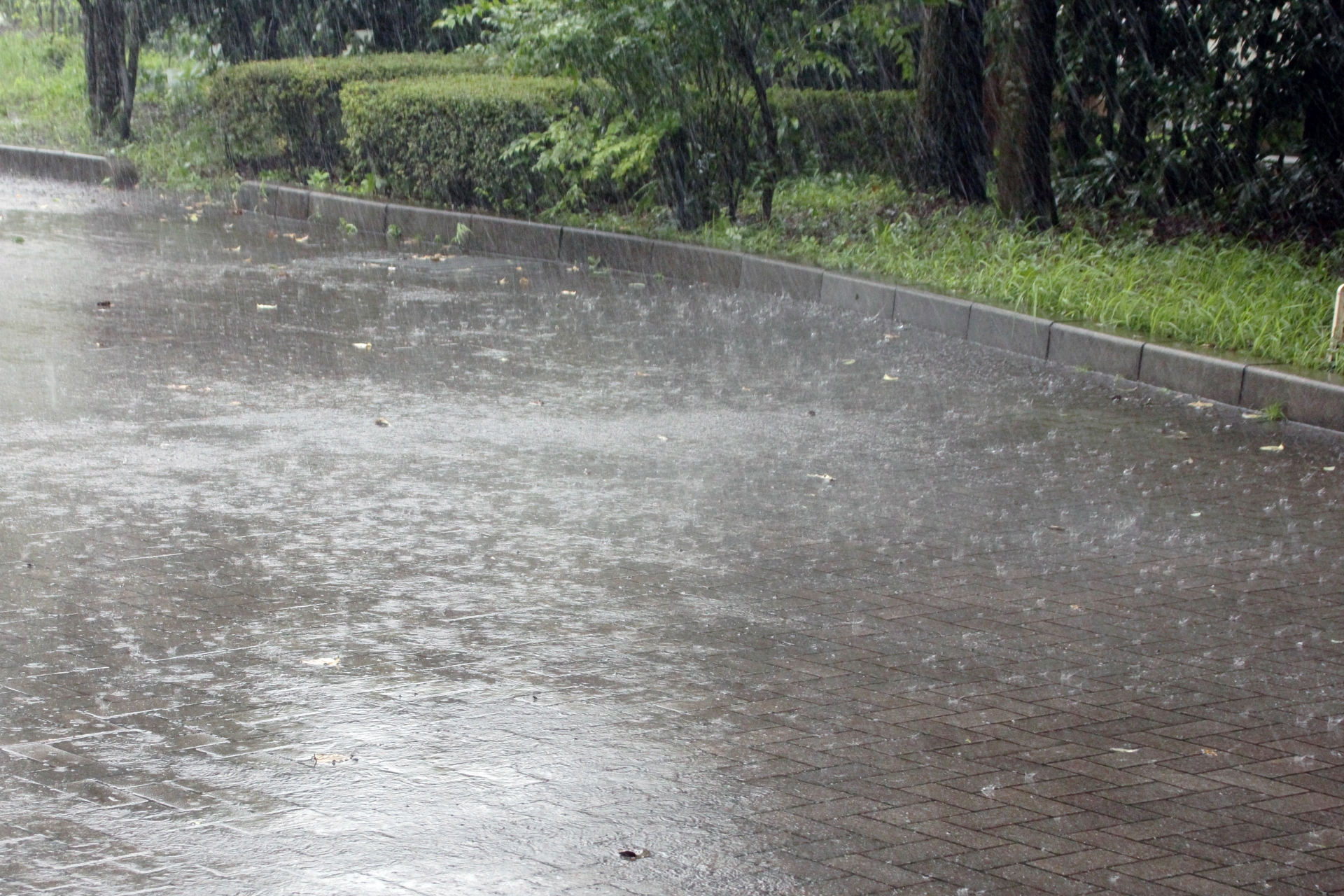 沖縄本島 雨でも楽しめる観光スポット アクティビティ6選 沖縄トリップ 沖縄本島 雨でも楽しめる観光スポット アクティビティ6選 沖縄トリップ