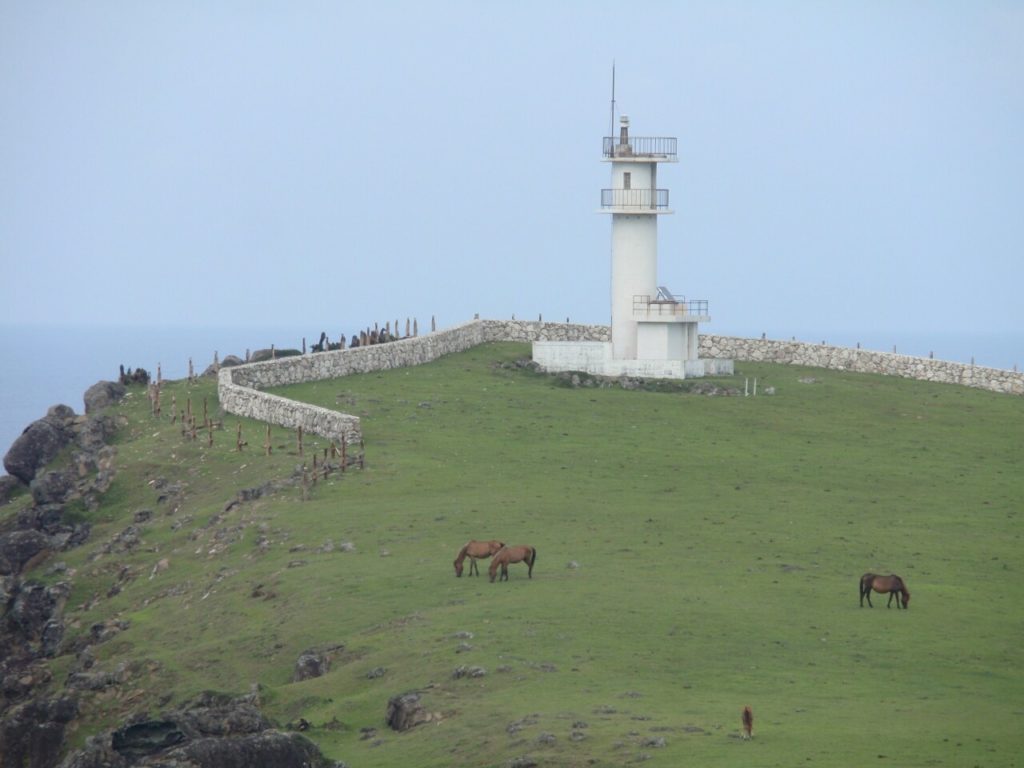 与那国島の東崎展望台と馬