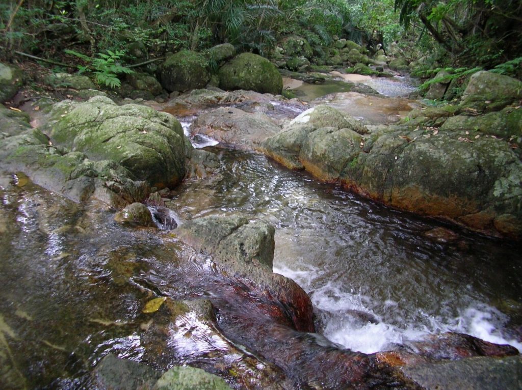 荒川の滝の清流