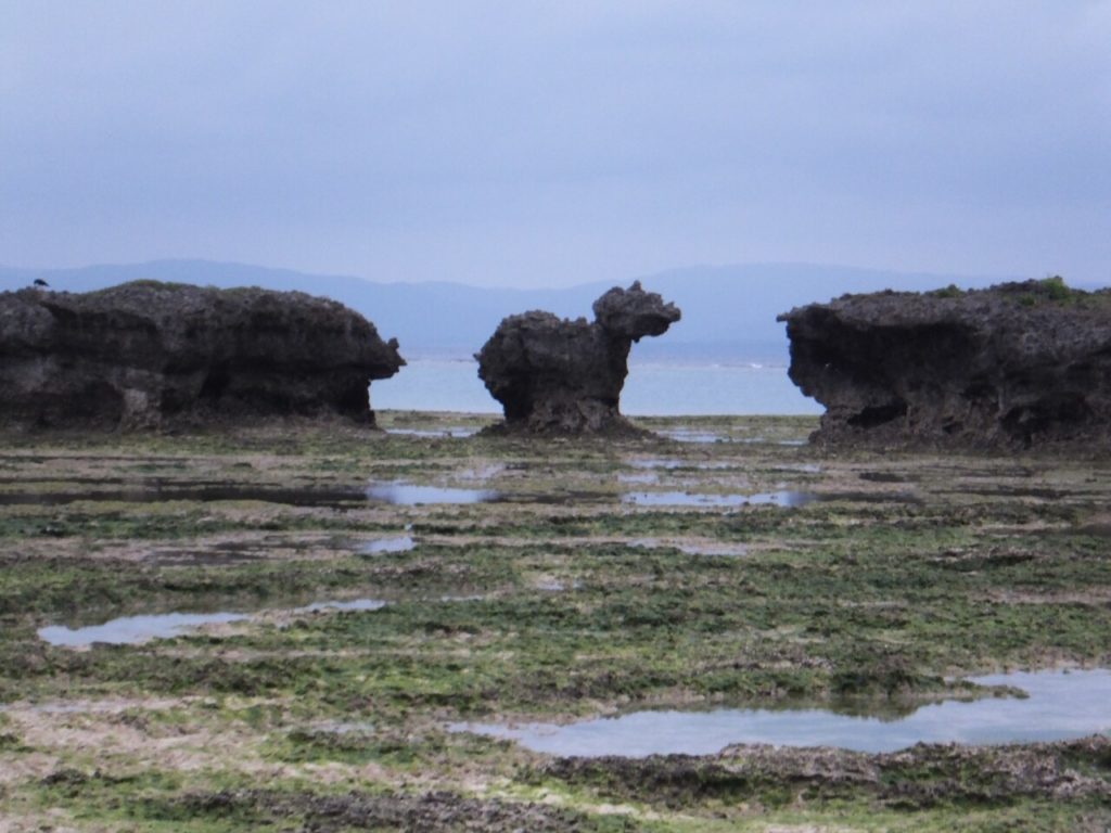 牛のような形の黒島の振り向き牛の岩