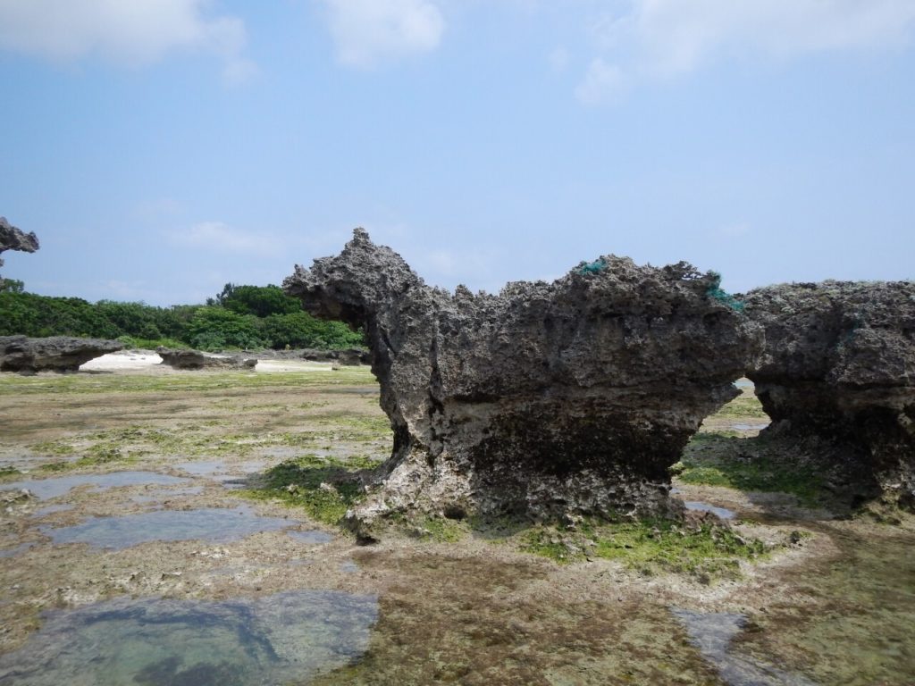 干潮時の黒島の振り向き牛の岩