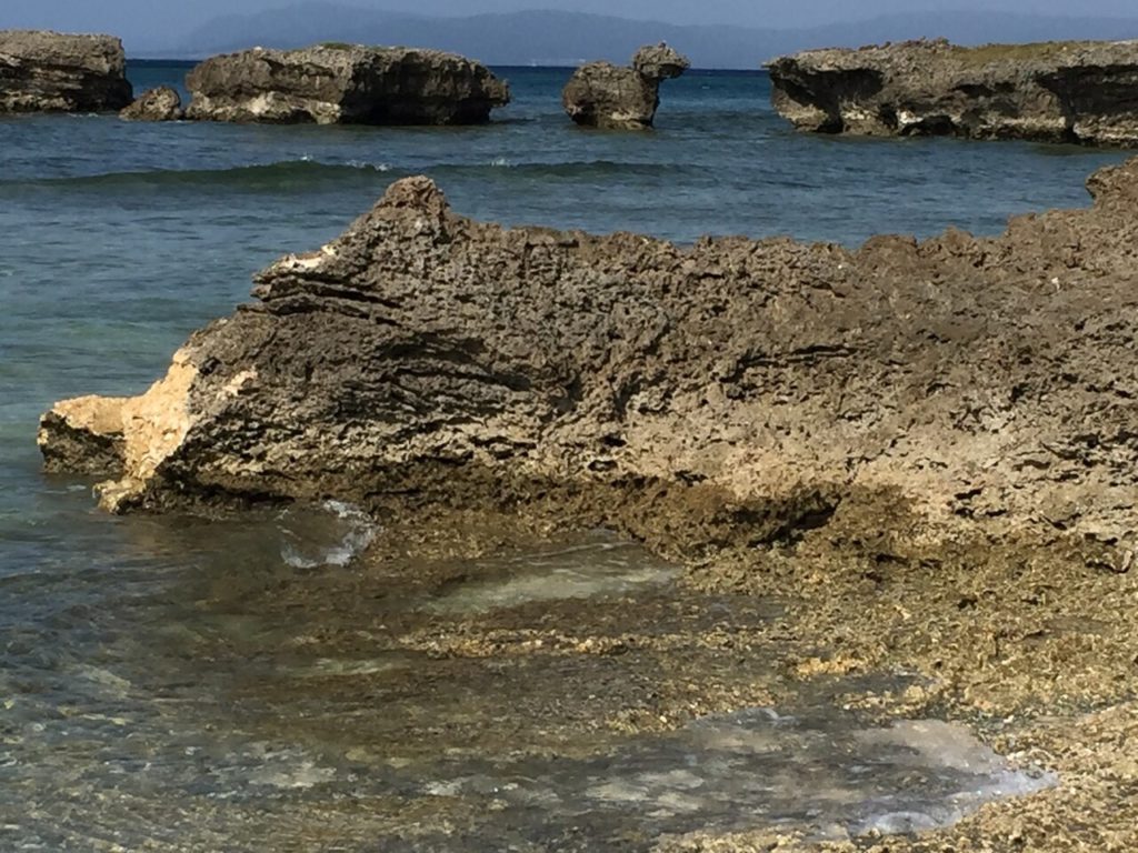 黒島の振り向き牛の岩