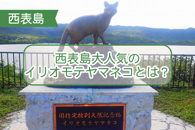 西表島のイリオモテヤマネコについて