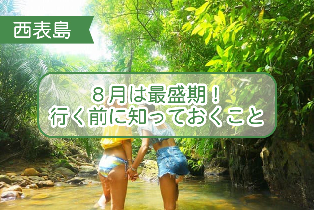 西表島の8月について