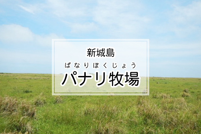 新城島のパナリ牧場