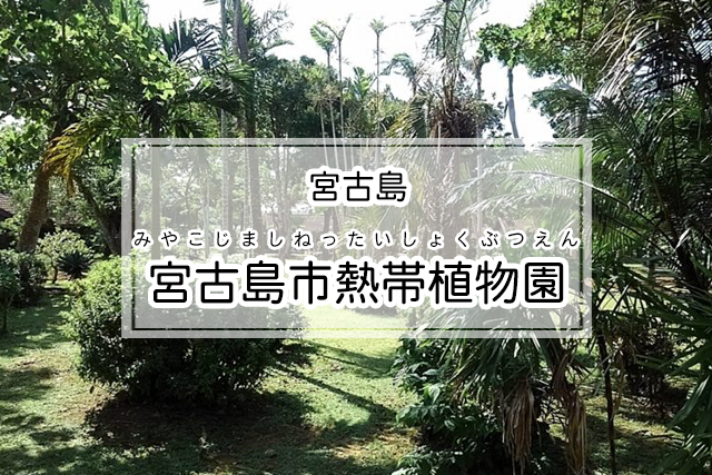 宮古島の宮古島市熱帯植物園