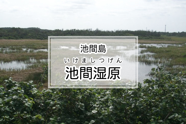 池間島の池間湿原