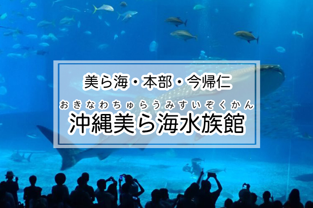 美ら海・本部・今帰仁エリアの沖縄美ら海水族館