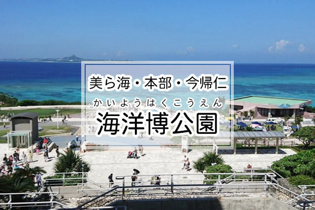 美ら海・本部・今帰仁エリアの海洋博公園