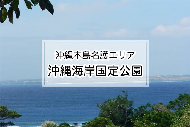 沖縄県名護エリアの沖縄海岸国定公園