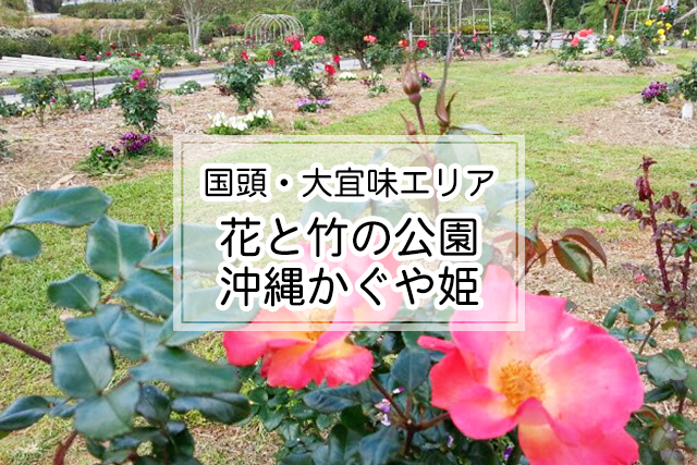 国頭・大宜味エリアの花と竹の公園 沖縄かぐや姫