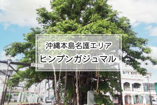 沖縄県名護エリアのヒンプンガジュマル