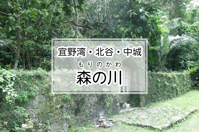 宜野湾・北谷・中城エリアの森の川