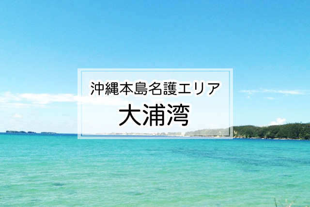 沖縄県名護エリアの大浦湾