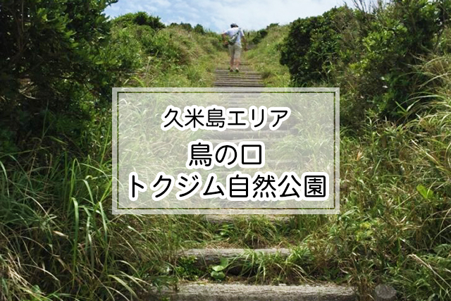 久米島エリアの久米島 鳥の口（トクジム自然公園の