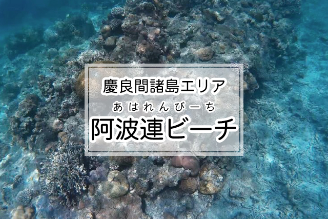 慶良間諸島エリアの阿波連ビーチ