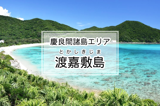 慶良間諸島エリアの渡嘉敷島