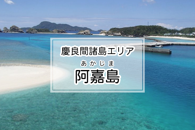 慶良間諸島エリアの阿嘉島