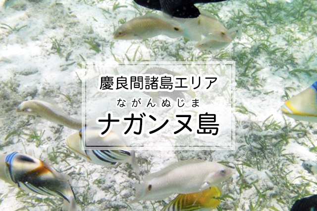 慶良間諸島エリアのナガンヌ島