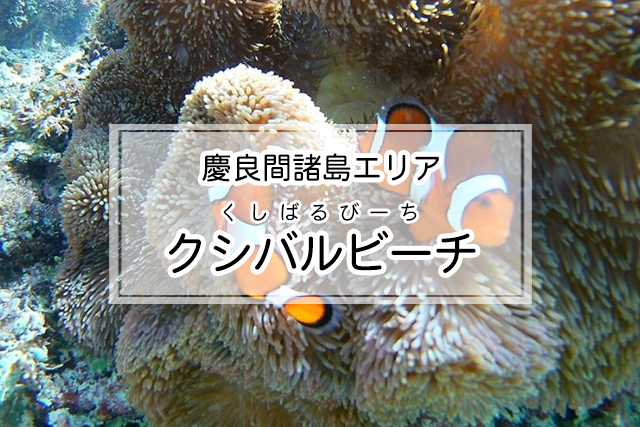 慶良間諸島エリアのクシバルビーチ