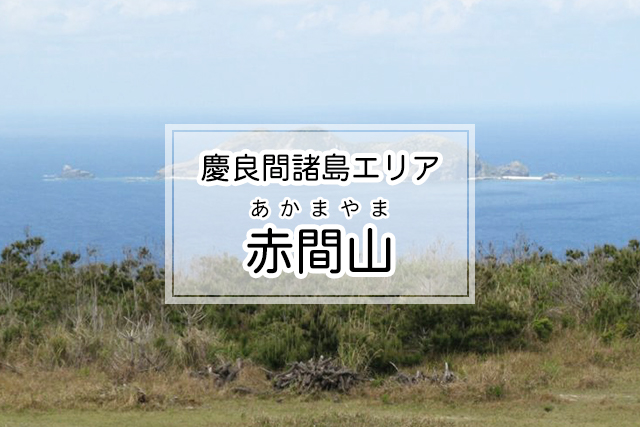 慶良間諸島エリアの赤間山