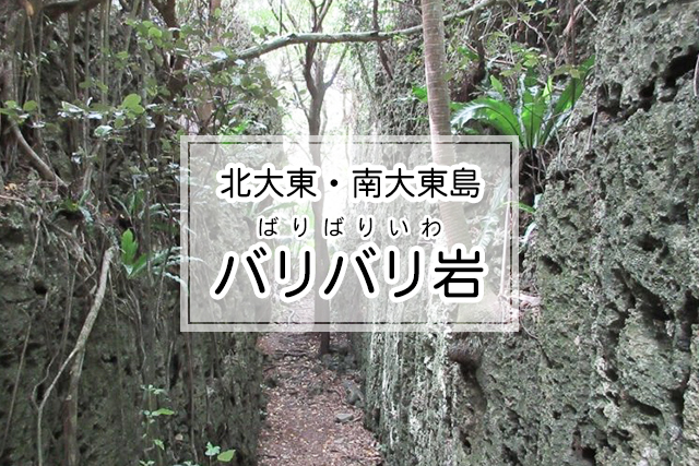 北大東・南大東島エリアのバリバリ岩