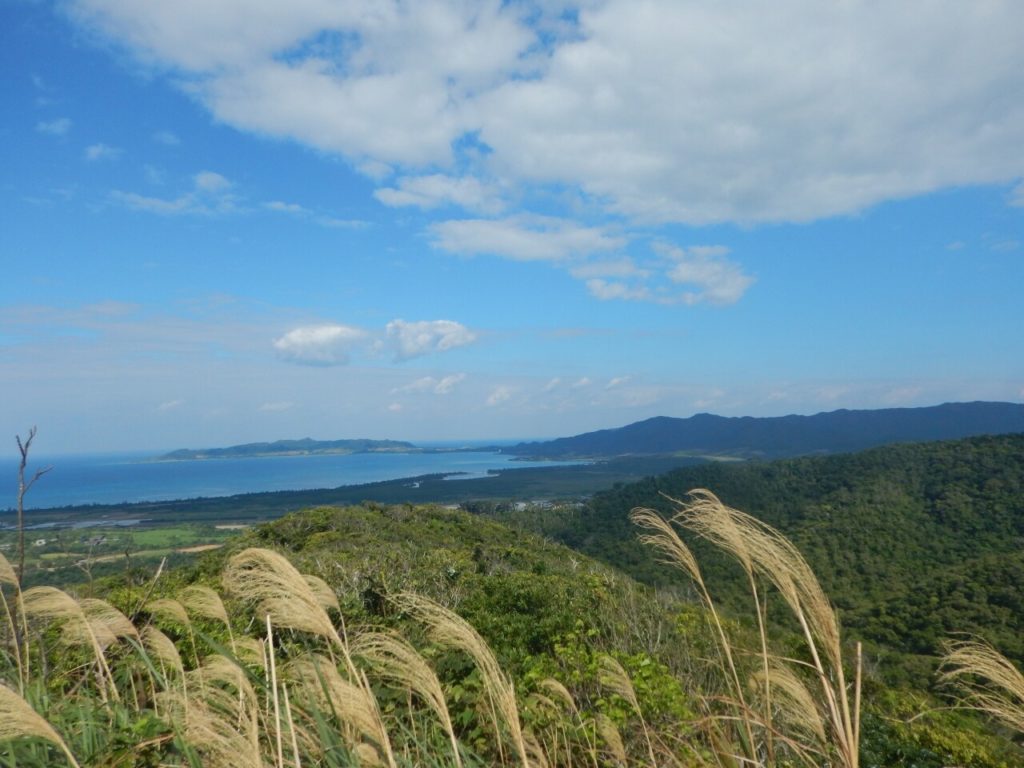 石垣島のエメラルドの海を見る展望台から見る絶景