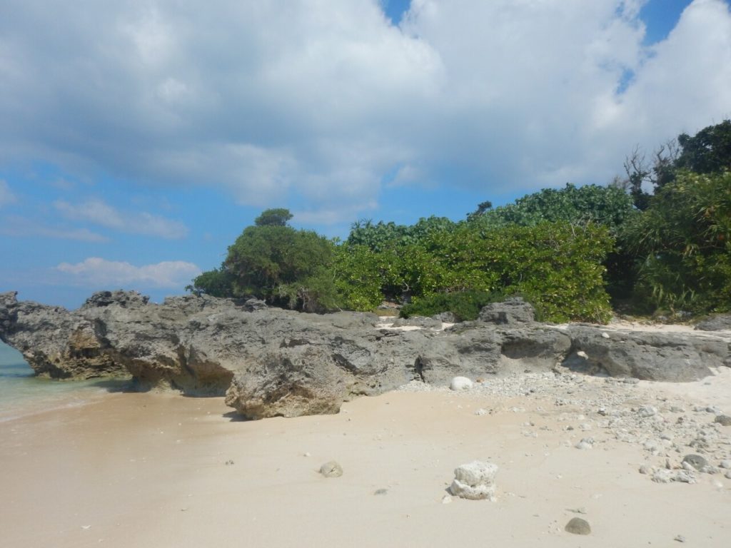 波照間島のハマシタン群落にあるビーチ