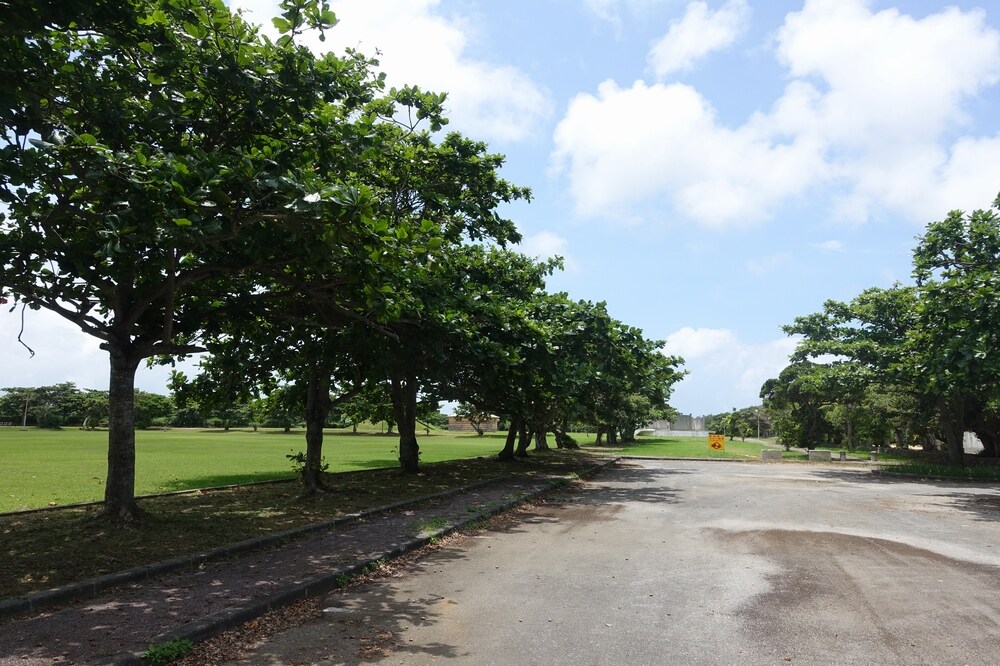 平成の森公園の道