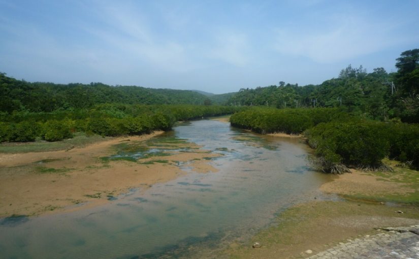 東村ふれあいヒルギ公園 沖縄本島 国頭 大宜味エリア の観光スポット 沖縄トリップ