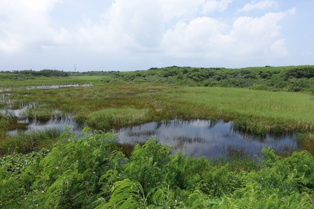 池間島の池間湿原