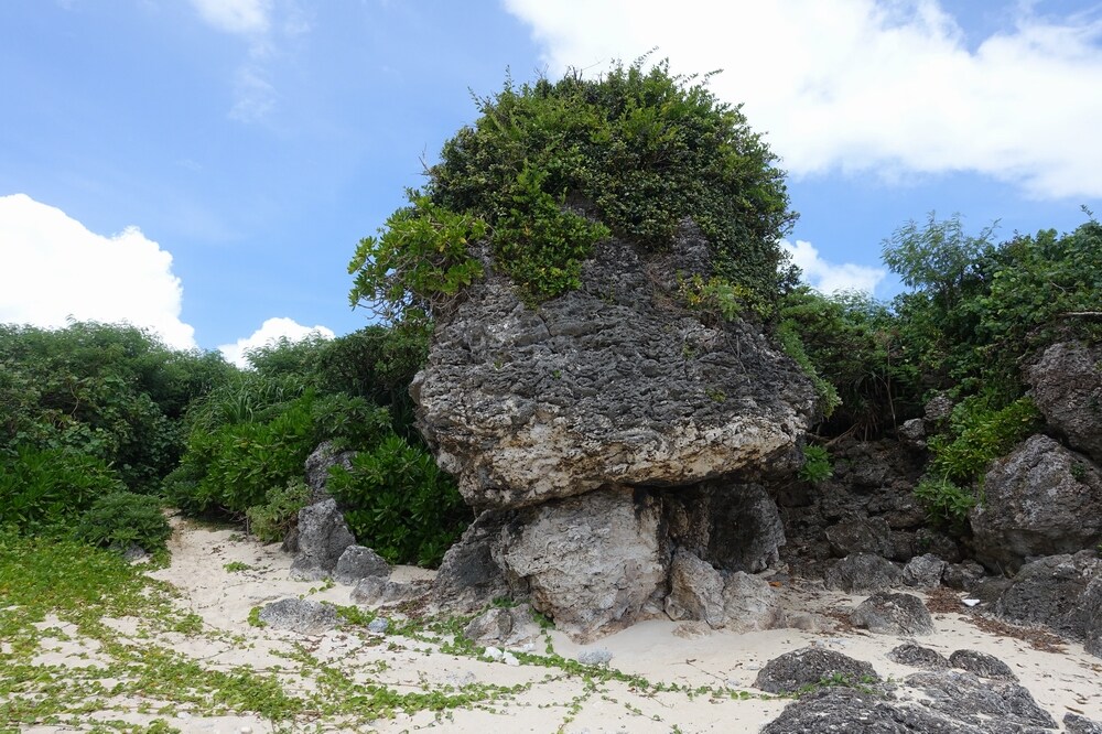 打ち上げられた巨大な岩