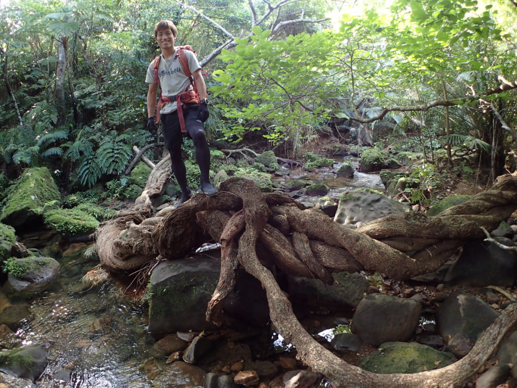 ユツンの三段滝のジャングル