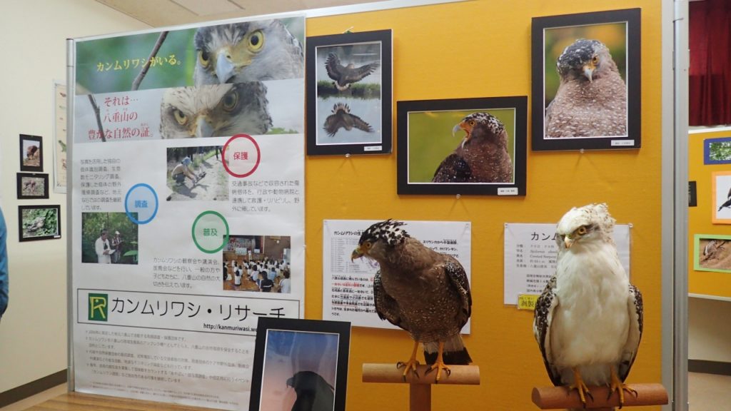 西表野生生物保護センターの展示品