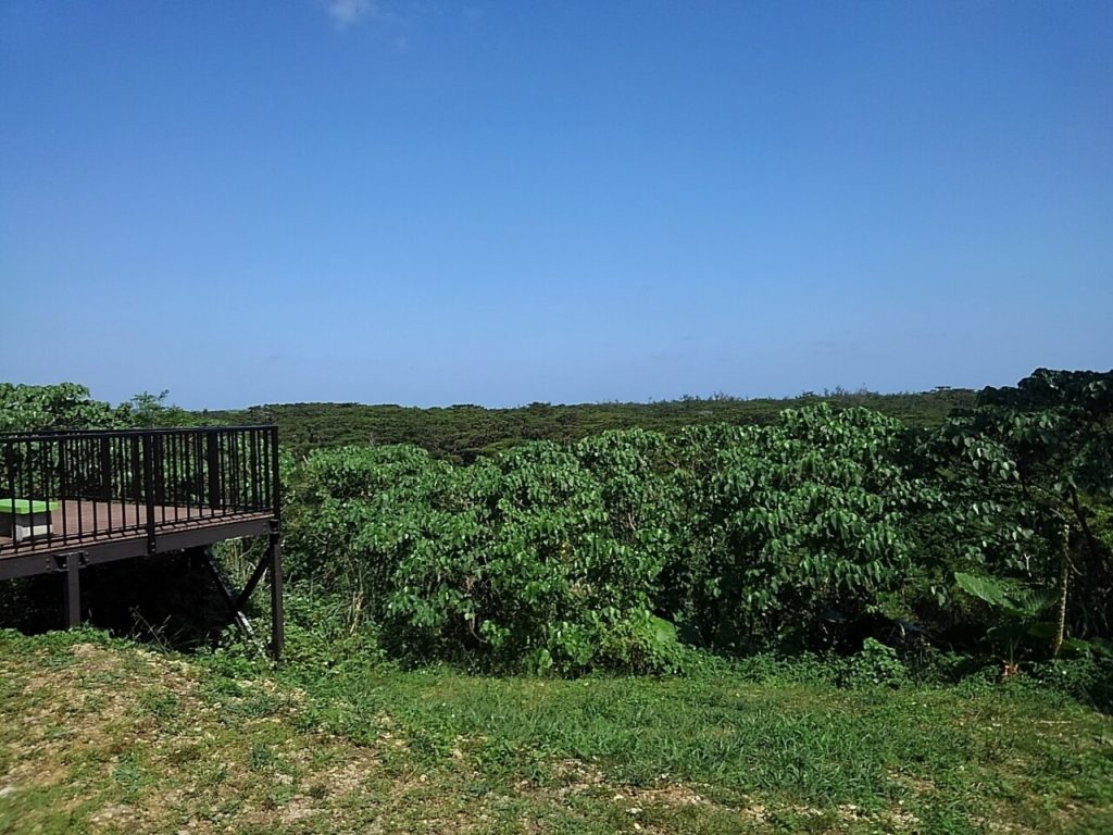 宮古島の熱帯植物園