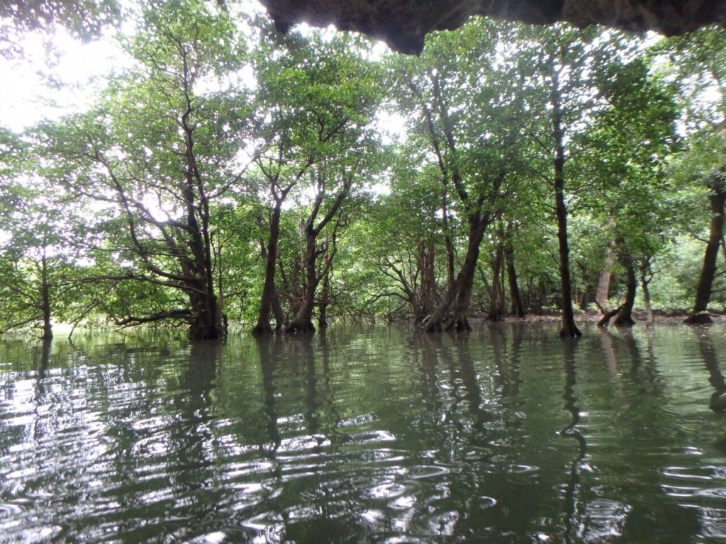 石垣島の宮良川