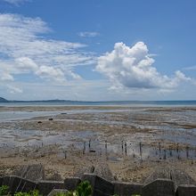 名蔵大橋の干潮時の湿地帯